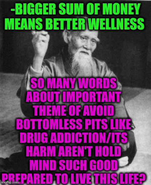 Aikido Master | -BIGGER SUM OF MONEY MEANS BETTER WELLNESS SO MANY WORDS ABOUT IMPORTANT THEME OF AVOID BOTTOMLESS PITS LIKE DRUG ADDICTION/ITS HARM AREN'T  | image tagged in aikido master | made w/ Imgflip meme maker