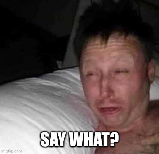 Sleepy guy | SAY WHAT? | image tagged in sleepy guy | made w/ Imgflip meme maker