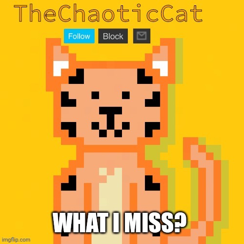 WHAT I MISS? | image tagged in chaoticcat | made w/ Imgflip meme maker