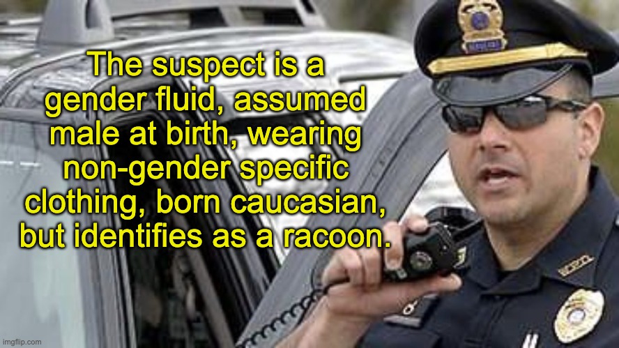 To serve and protect | The suspect is a gender fluid, assumed male at birth, wearing non-gender specific clothing, born caucasian, but identifies as a racoon. | image tagged in police | made w/ Imgflip meme maker