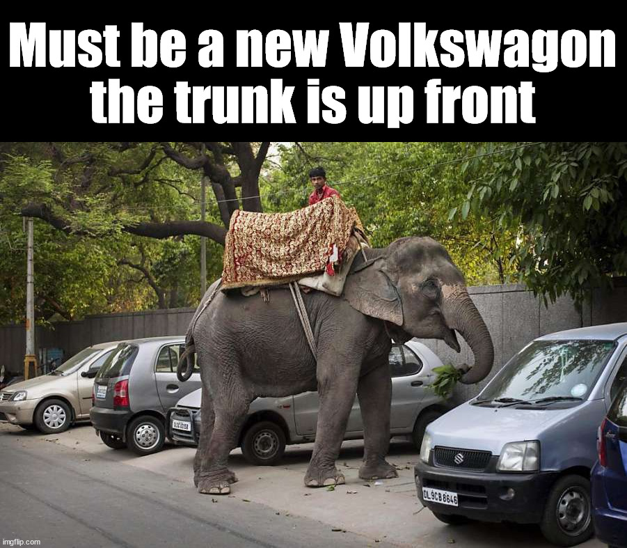 Must be a new Volkswagon the trunk is up front | image tagged in eye roll | made w/ Imgflip meme maker