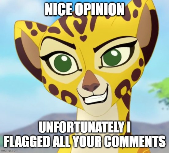 Fuli | NICE OPINION UNFORTUNATELY I FLAGGED ALL YOUR COMMENTS | image tagged in fuli | made w/ Imgflip meme maker