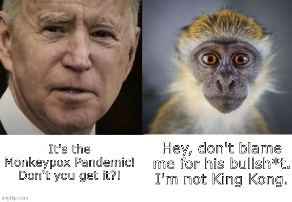 Hey, don't blame me. I'm not King Kong. | Hey, don't blame me for his bullsh*t. I'm not King Kong. It's the Monkeypox Pandemic! Don't you get it?! | image tagged in memes,politics | made w/ Imgflip meme maker