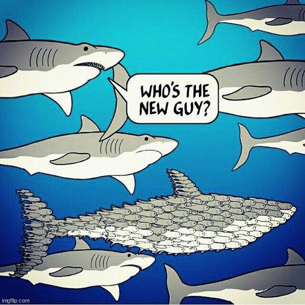 image tagged in comics | made w/ Imgflip meme maker