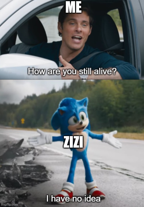 Sonic : How are you still alive | ME ZIZI | image tagged in sonic how are you still alive | made w/ Imgflip meme maker