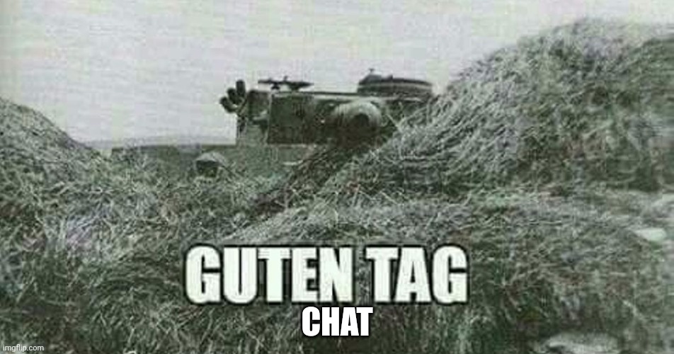 German guten tag tiger | CHAT | image tagged in german guten tag tiger | made w/ Imgflip meme maker