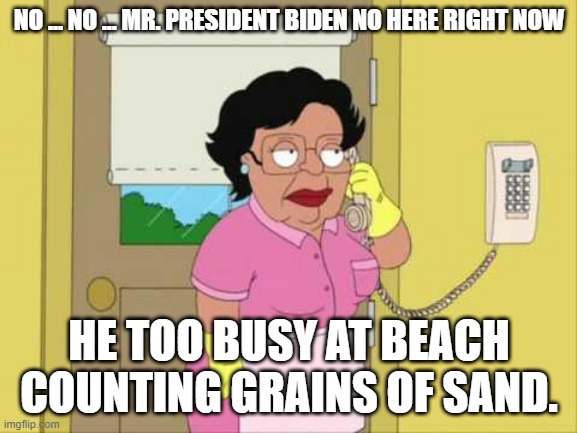 Consuela Meme | NO ... NO ... MR. PRESIDENT BIDEN NO HERE RIGHT NOW; HE TOO BUSY AT BEACH COUNTING GRAINS OF SAND. | image tagged in memes,consuela | made w/ Imgflip meme maker