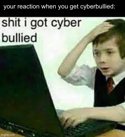 your reaction when you get cyberbullied: | made w/ Imgflip meme maker