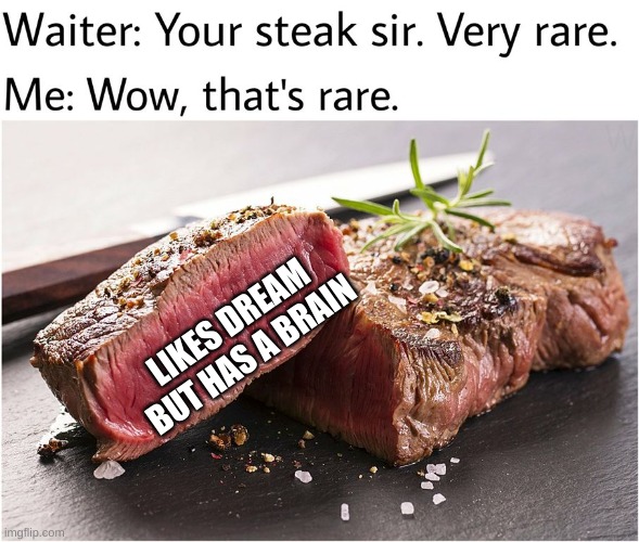 rare steak meme | LIKES DREAM BUT HAS A BRAIN | image tagged in rare steak meme | made w/ Imgflip meme maker