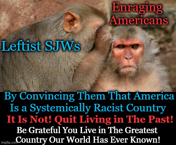 Be Grateful, Not Hateful! | Enraging 
Americans; Leftist SJWs; By Convincing Them That America
Is a Systemically Racist Country; It Is Not! Quit Living in The Past! Be Grateful You Live in The Greatest 
Country Our World Has Ever Known! | image tagged in politics,liberalism,democrats,ungrateful,living in the past,equality | made w/ Imgflip meme maker