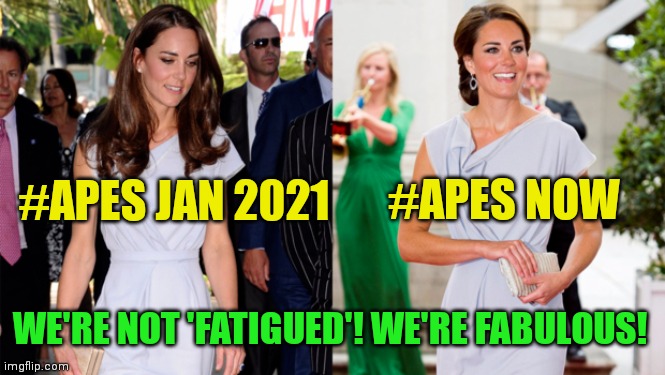 Apes are fabulous! | #APES NOW; #APES JAN 2021; WE'RE NOT 'FATIGUED'! WE'RE FABULOUS! | image tagged in apes together strong,amc,gme,apes,fabulous | made w/ Imgflip meme maker