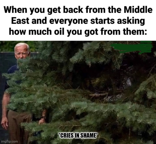 The begging president, aka the worst president in the history of this country. |  *CRIES IN SHAME* | image tagged in joe biden,dementia,middle east,oil | made w/ Imgflip meme maker
