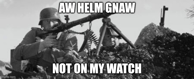 MG-34 | AW HELM GNAW NOT ON MY WATCH | image tagged in mg-34 | made w/ Imgflip meme maker