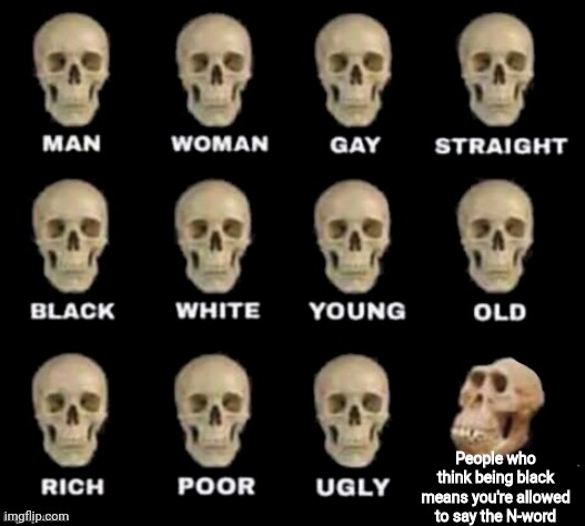 monkey skull | People who think being black means you're allowed to say the N-word | image tagged in monkey skull,controversial | made w/ Imgflip meme maker