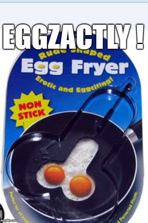 EGGZACTLY ! | made w/ Imgflip meme maker