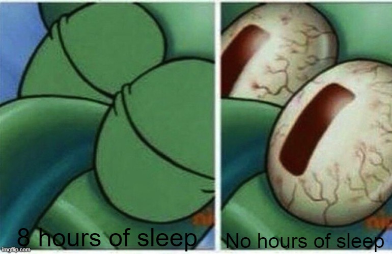 Squidward | 8 hours of sleep; No hours of sleep | image tagged in squidward | made w/ Imgflip meme maker