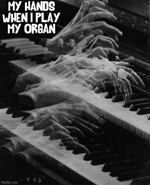 Going Real Fast |  MY HANDS
WHEN I PLAY
MY ORGAN | image tagged in vince vance,organ music,music memes,black and white,piano,faster | made w/ Imgflip meme maker