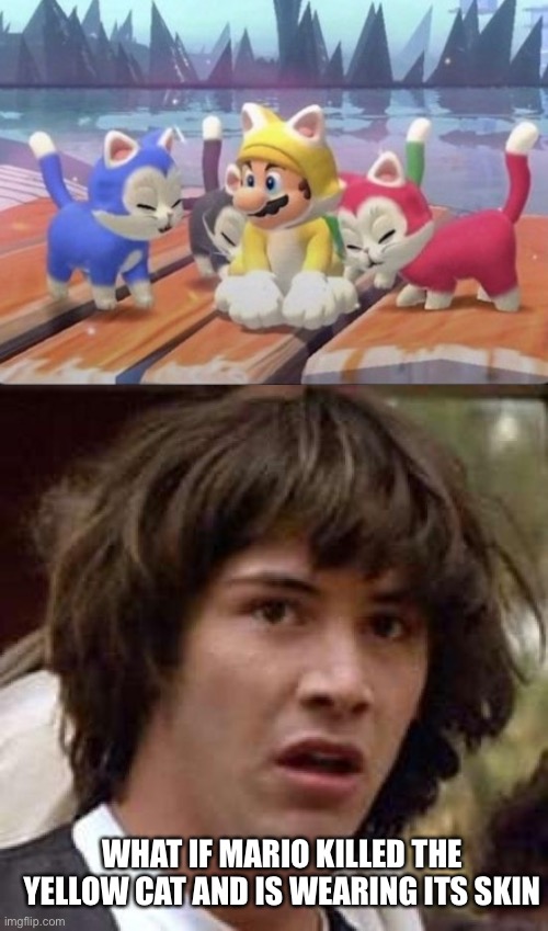 WHAT IF MARIO KILLED THE YELLOW CAT AND IS WEARING ITS SKIN | image tagged in memes,conspiracy keanu | made w/ Imgflip meme maker