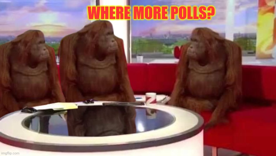 where monkey | WHERE MORE POLLS? | image tagged in where monkey | made w/ Imgflip meme maker