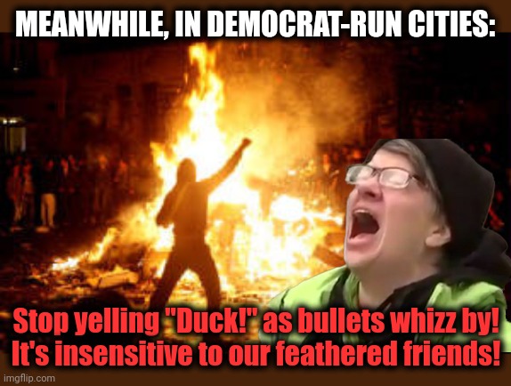 MEANWHILE, IN DEMOCRAT-RUN CITIES: Stop yelling "Duck!" as bullets whizz by!
It's insensitive to our feathered friends! | image tagged in anarchy riot | made w/ Imgflip meme maker