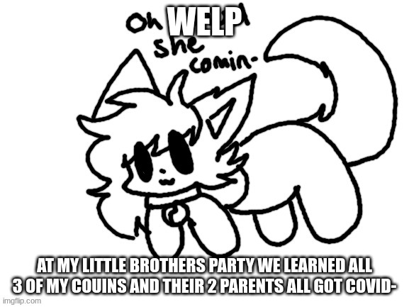 my mom is sick rn shes gonna take a test lets hope i dont have it | WELP; AT MY LITTLE BROTHERS PARTY WE LEARNED ALL 3 OF MY COUINS AND THEIR 2 PARENTS ALL GOT COVID- | image tagged in oh lawd she comin- | made w/ Imgflip meme maker