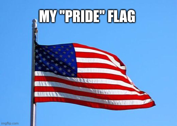 The only flag I'll get behind. | MY "PRIDE" FLAG | image tagged in american flag,memes | made w/ Imgflip meme maker