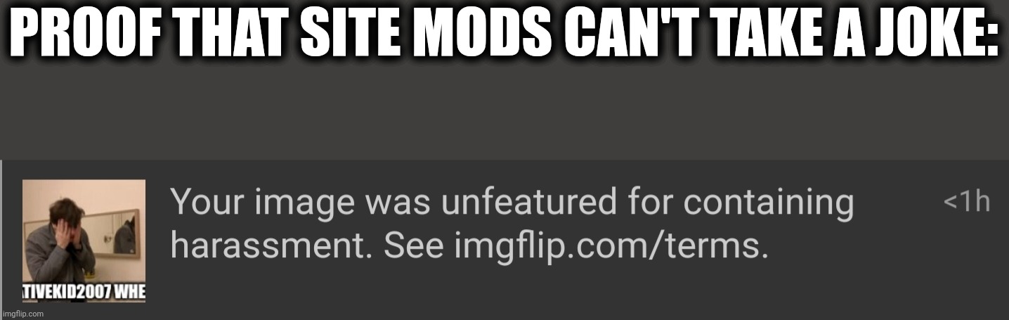 It was a f**king joke | PROOF THAT SITE MODS CAN'T TAKE A JOKE: | image tagged in memes | made w/ Imgflip meme maker