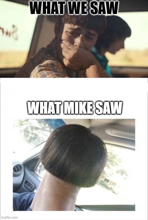 Byler at its peak | WHAT WE SAW; WHAT MIKE SAW | image tagged in will byers crying,bowl cut | made w/ Imgflip meme maker