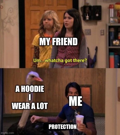 I'm am somewhat of a introvert ngl | MY FRIEND; A HOODIE I WEAR A LOT; ME; PROTECTION | image tagged in whatcha got there | made w/ Imgflip meme maker