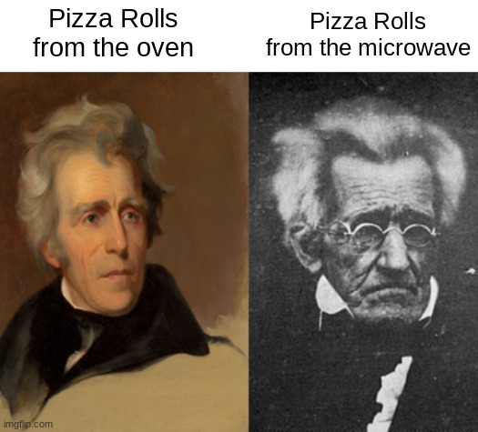The quality changes depending on what you choose | Pizza Rolls from the oven; Pizza Rolls from the microwave | image tagged in andrew jackson younger vs older,memes | made w/ Imgflip meme maker