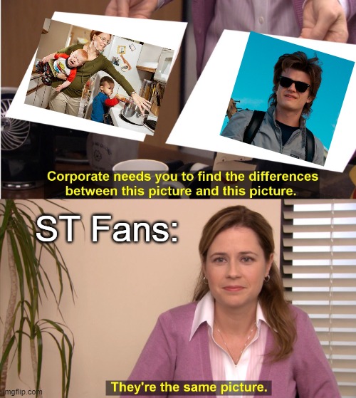Steve The Mommington | ST Fans: | image tagged in memes,they're the same picture | made w/ Imgflip meme maker