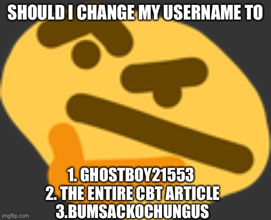 vote in comments | SHOULD I CHANGE MY USERNAME TO; 1. GHOSTBOY21553 
2. THE ENTIRE CBT ARTICLE
3.BUMSACKOCHUNGUS | made w/ Imgflip meme maker