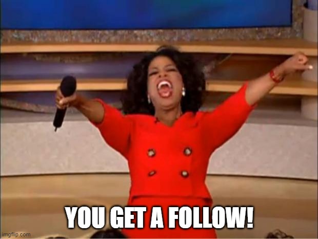 Oprah You Get A Meme | YOU GET A FOLLOW! | image tagged in memes,oprah you get a | made w/ Imgflip meme maker