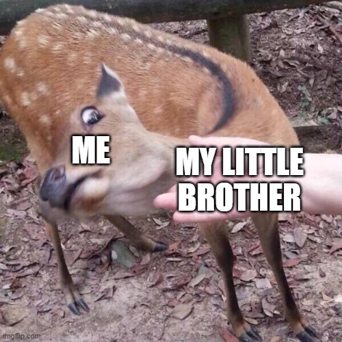 nope | MY LITTLE BROTHER; ME | image tagged in nope | made w/ Imgflip meme maker