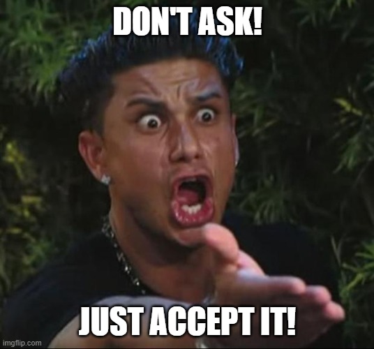 DJ Pauly D Meme | DON'T ASK! JUST ACCEPT IT! | image tagged in memes,dj pauly d | made w/ Imgflip meme maker