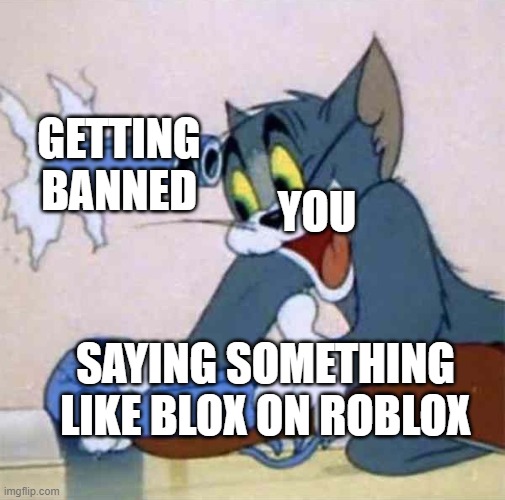 this roblox update sucks | YOU; GETTING BANNED; SAYING SOMETHING LIKE BLOX ON ROBLOX | image tagged in tom backfire,roblox | made w/ Imgflip meme maker