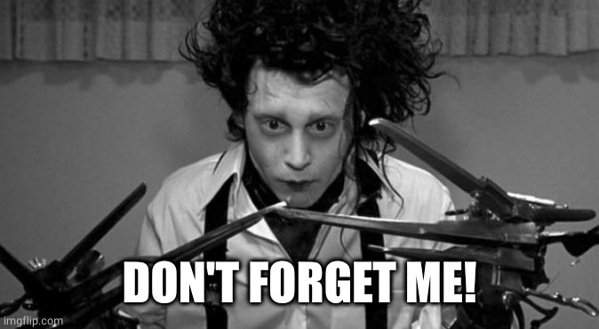 Edward Scissorhands | DON'T FORGET ME! | image tagged in edward scissorhands | made w/ Imgflip meme maker
