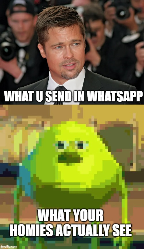 Smh.... |  WHAT U SEND IN WHATSAPP; WHAT YOUR HOMIES ACTUALLY SEE | image tagged in memes,mike wazowski,brad pitt,whatsapp,smh,relatable | made w/ Imgflip meme maker