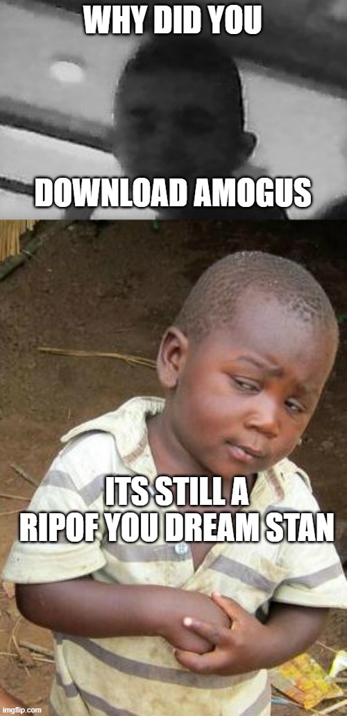  WHY DID YOU; DOWNLOAD AMOGUS; ITS STILL A RIPOF YOU DREAM STAN | image tagged in suffering guy,memes,third world skeptical kid | made w/ Imgflip meme maker