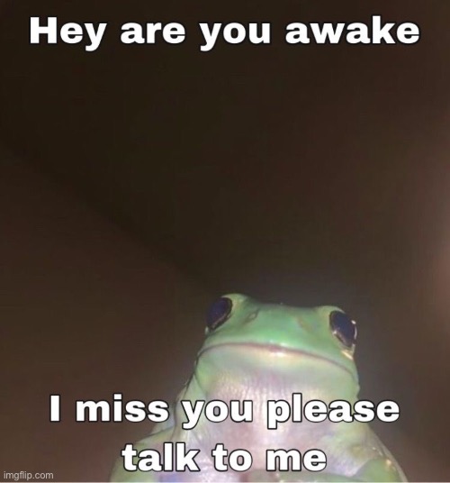 e | made w/ Imgflip meme maker
