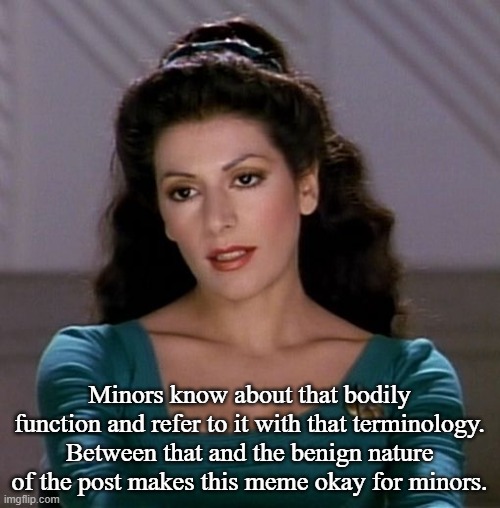 Counselor Deanna Troi | Minors know about that bodily function and refer to it with that terminology. Between that and the benign nature of the post makes this meme | image tagged in counselor deanna troi | made w/ Imgflip meme maker