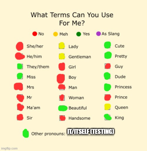 Pronouns Sheet | IT/ITSELF (TESTING) | image tagged in pronouns sheet | made w/ Imgflip meme maker