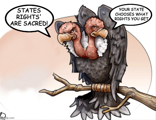 The vultures are just waiting for us to give up -- on our rights | YOUR STATE CHOOSES WHAT RIGHTS YOU GET; STATES RIGHTS' ARE SACRED! | image tagged in two-headed vulture,politics,human rights,women's rights,scotus,supreme court | made w/ Imgflip meme maker