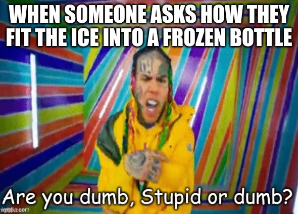 Are you dumb stupid or dumb? | WHEN SOMEONE ASKS HOW THEY FIT THE ICE INTO A FROZEN BOTTLE | image tagged in are you dumb stupid or dumb | made w/ Imgflip meme maker