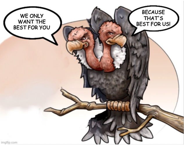 What does the two-headed vulture say? (Double vulture or two-headed vulture) | BECAUSE THAT'S BEST FOR US! WE ONLY WANT THE BEST FOR YOU | image tagged in double vulture speech bubbles | made w/ Imgflip meme maker