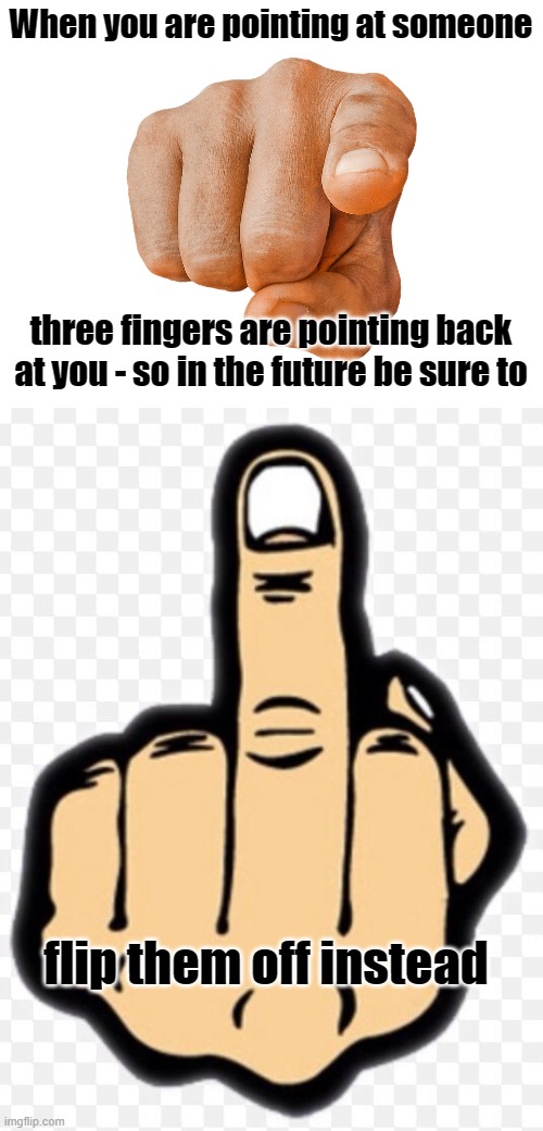 Pointing and giving the bird | When you are pointing at someone; three fingers are pointing back at you - so in the future be sure to; flip them off instead | image tagged in pointing finger,middle finger | made w/ Imgflip meme maker