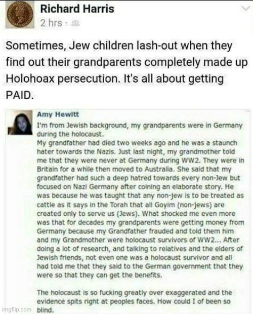 HOLOHOAX | image tagged in holohoax | made w/ Imgflip meme maker