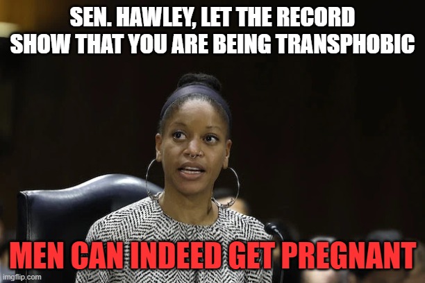 Silence, mortal. The Berkeley professor speaketh: |  SEN. HAWLEY, LET THE RECORD SHOW THAT YOU ARE BEING TRANSPHOBIC; MEN CAN INDEED GET PREGNANT | image tagged in senator hawley,berkeley,professor,transphobic,men,pregnant | made w/ Imgflip meme maker
