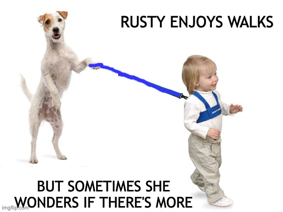 It's hard being a Good Dog all the time | RUSTY ENJOYS WALKS; BUT SOMETIMES SHE WONDERS IF THERE'S MORE | image tagged in blank white template,dog,leash,walk,toddler,you had one job | made w/ Imgflip meme maker