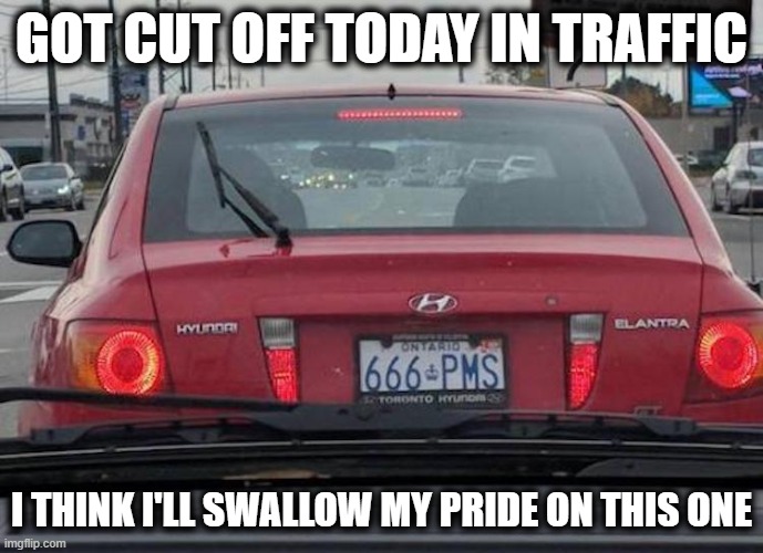 Don't Want to Chance It | GOT CUT OFF TODAY IN TRAFFIC; I THINK I'LL SWALLOW MY PRIDE ON THIS ONE | image tagged in traffic | made w/ Imgflip meme maker